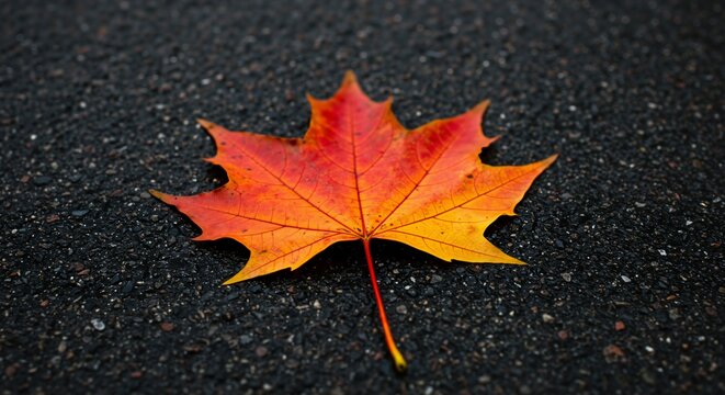 Bright Autumn Maple Leaf on Dark Textured Ground. Colorful Fall Foliage Detail. Symbol of Seasonal Change and Nature's Beauty.