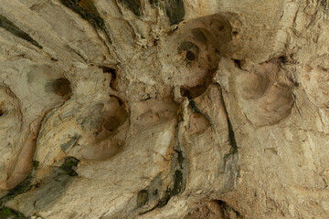 Overhead stone texture with hollow formations, green moss traces, and smooth erosion patterns, captured in subtle ambient light inside cave