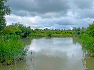 The edge of a canal in wetland in a cloudy sky in bright sunlight in springtime,  Oostvaardersplassen, Almere, Flevoland, Netherlands, June 07, 2025