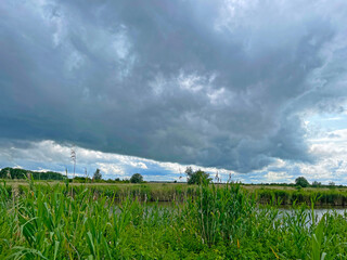 The edge of a canal in wetland in a cloudy sky in bright sunlight in springtime,  Oostvaardersplassen, Almere, Flevoland, Netherlands, June 07, 2025