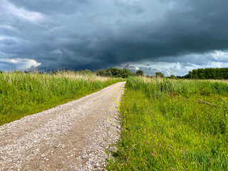 The edge of a canal in wetland in a cloudy sky in bright sunlight in springtime,  Oostvaardersplassen, Almere, Flevoland, Netherlands, June 07, 2025