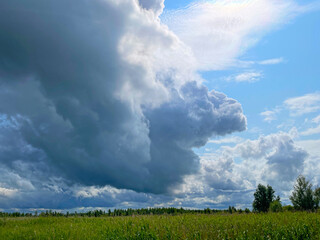 The edge of a canal in wetland in a cloudy sky in bright sunlight in springtime,  Oostvaardersplassen, Almere, Flevoland, Netherlands, June 07, 2025