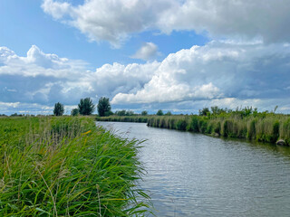 The edge of a canal in wetland in a cloudy sky in bright sunlight in springtime,  Oostvaardersplassen, Almere, Flevoland, Netherlands, June 07, 2025