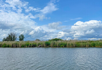 The edge of a canal in wetland in a cloudy sky in bright sunlight in springtime,  Oostvaardersplassen, Almere, Flevoland, Netherlands, June 07, 2025
