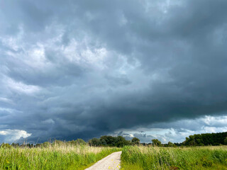The edge of a canal in wetland in a cloudy sky in bright sunlight in springtime,  Oostvaardersplassen, Almere, Flevoland, Netherlands, June 07, 2025