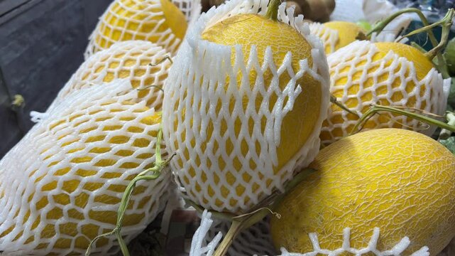 Korean little striped yellow melons or locally known as chamoe. Early Silver Line Melon. Fruit edible summer background. Movement with rotation. Close-up, flat lay, mockup, top view