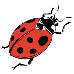 Obraz premium Cute red ladybug insect vector illustration on a white background
