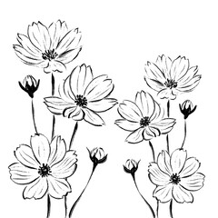 Seamless floral vector background with flowers and leaves for decoration and design