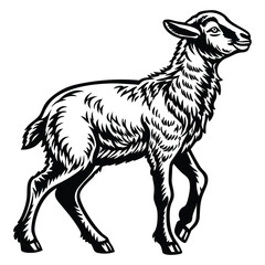 White background isolated standing farm mammal goat illustration