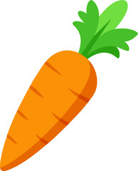 vector illustration of a carrot