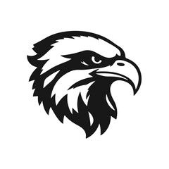 Fototapeta premium Eagle head in clear black and white vector style, detailed feathers, strong beak, intense and focused look, bird of prey, vector eagle, fierce bird