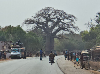 Baobab tree on the roads of Burkina Faso 