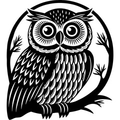 owl on a branch