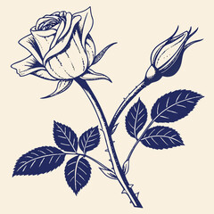 hand drawn vector illustration