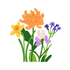 Flower bouquet with floral blooms mix. Beautiful spring and summer floral stems bunch, chrysanthemum, daffodil, iris, elegant blossoms. Botanical flat vector illustration isolated on white background