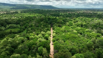 Aerial view of forest path leading to hidden Cambodian religious ruins