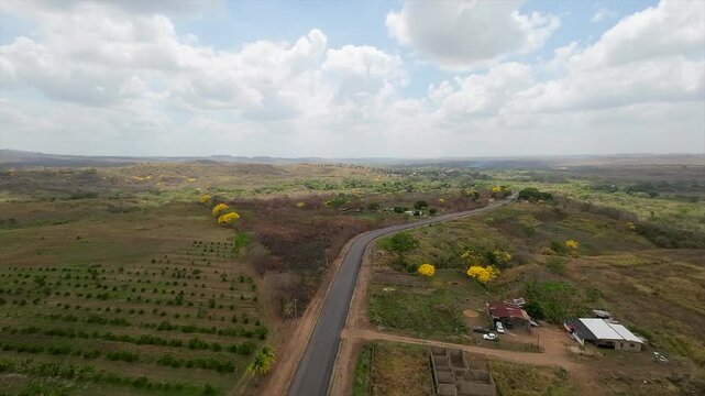 Aerial view of araguaney trees near Aragua de Matur&iacute;n road