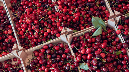 Fresh red sweet cherries in wooden crates prepared for sale on a market.