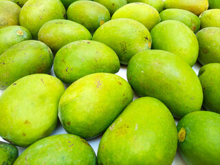 Fresh green mango fruits background, tropical fruit, unripe mangoes for pickle