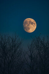 Full Moon, stars, planets and landscape scenery silhouettes.
