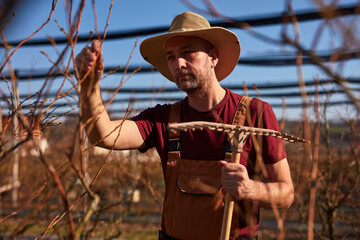 Male gardener with hat working with a rake in a blueberries organic farm.
