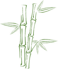 Bamboo grunge style. Bamboo tree and leaves on white background.