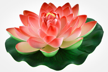 Nénuphar 
