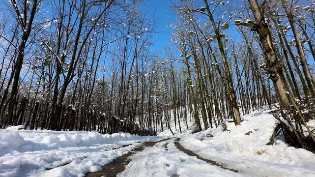 winter season rural village countryside hyrcanian forest landscape lookout meadow nature protected territory background botany branch in bush cold frosted natural outdoor park white scenic wonderful