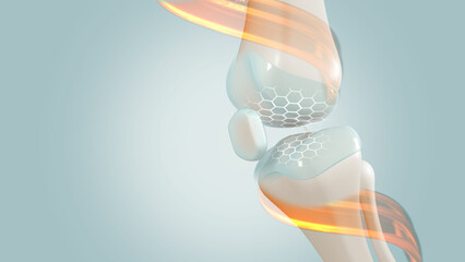 Bone and joint disease, add collagen to knee joints 3d Rendering