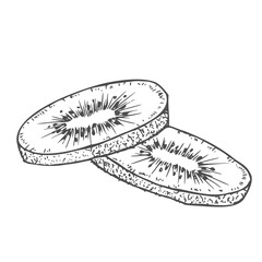 Kiwi slices hand drawn in sketch style.