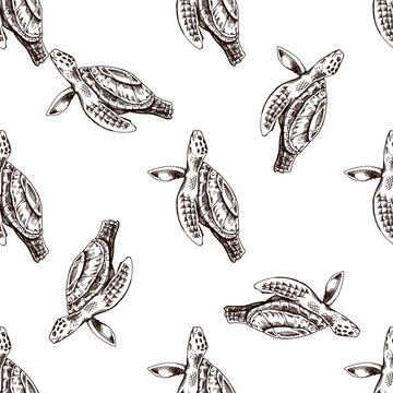 Hand drawn vintage seamless pattern of sea turtle in brown ink engraving style, detailed marine wildlife illustration