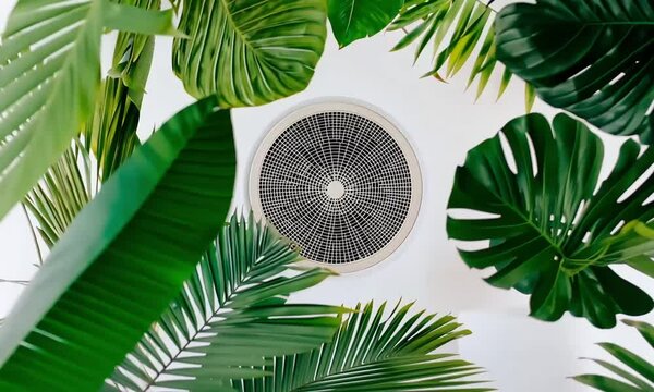 Tropical plants surround a ceiling vent