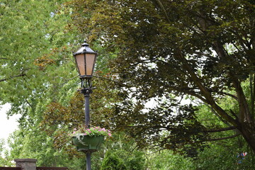 old street lamp in the park