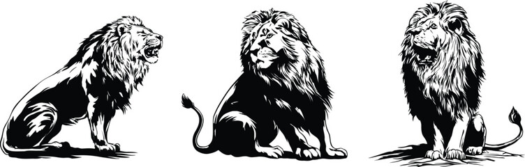 Obraz premium Majestic Lion Illustrations – Detailed Black & White Vector Art Depicting Powerful Sitting Lions with Distinctive Manes