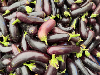 Fresh eggplant. Eggplant displayed on a bazaar stall.