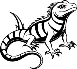    Lizard   line art black and white vector ,white background
