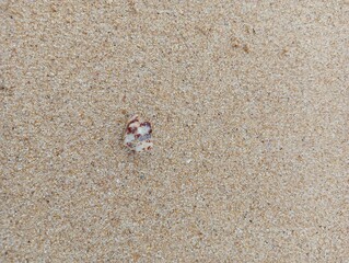Sand