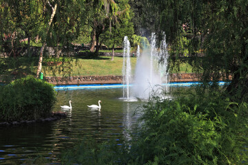 Obraz premium The park at the resort