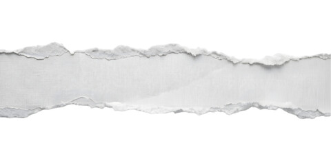 Minimal Torn Paper Strip Horizontal
