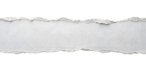 Horizontal Paper Tear on White