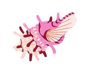 Sea shell with exotic shape. Cute pink seashell with coiled form. Ocean conch, big ornamented whelk, mollusk. Beach decoration, decor. Flat isolated drawing vector illustration on white background