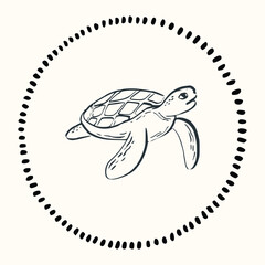 Whimsical doodle hand-drawn summer illustrations, line art sketch style. Nautical sea turtle emblems, vintage Mediterranean seafood labels, coastal restaurant decor, sea life prints. Vector isolated
