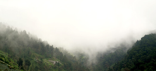 Misty foggy mountain landscape with fir forest and copyspace in vintage retro hipster style