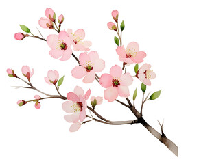 A delicate watercolor illustration of blooming cherry blossom branches with soft pink petals and subtle green leaves, outlined with a white sticker border.