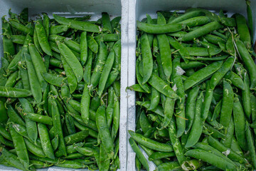 Fresh green peas in white boxes sold on food market close up. Legumes for healthy nutrition, dieting, vegetarianism concepts.