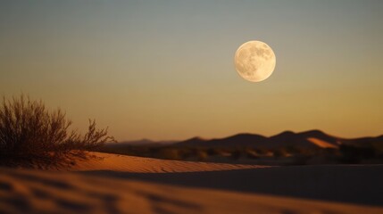 Full moon casting gentle light over a quiet desert, soft shadows, clear sky, atmospheric and serene