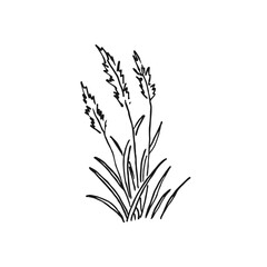 Grass, tufts greenery. Hand drawn vector illustration.