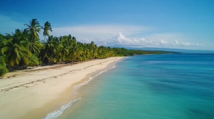scenic tropical beach with tall palm trees and blue ocean, vibrant colors