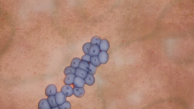 3D Render of Acinetobacter baumannii on Skin-Toned Surface