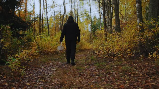 Autumnal forest offers tranquil scene for mushroom picker in black clothes solitary search for mushrooms. Seasonal beauty of autumn forest in October makes mushroom foraging delightful experience